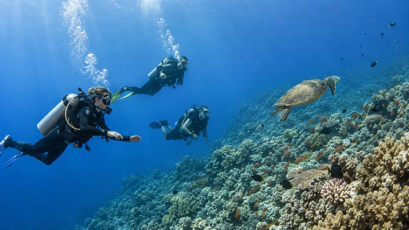 Small group of divers exploring a colorful Red Sea coral reef in Hurghada