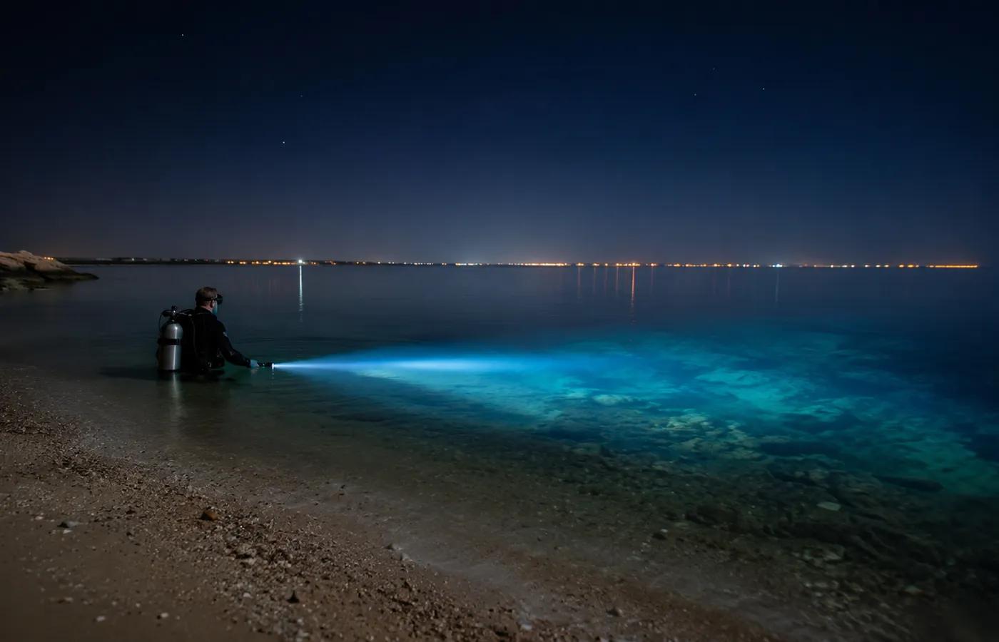 Night diving photos in Hurghada