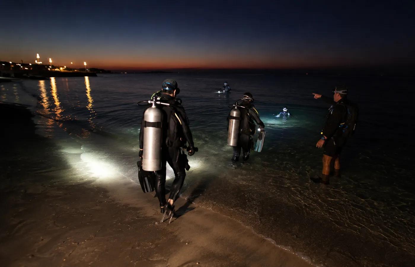 Coral reef night dive