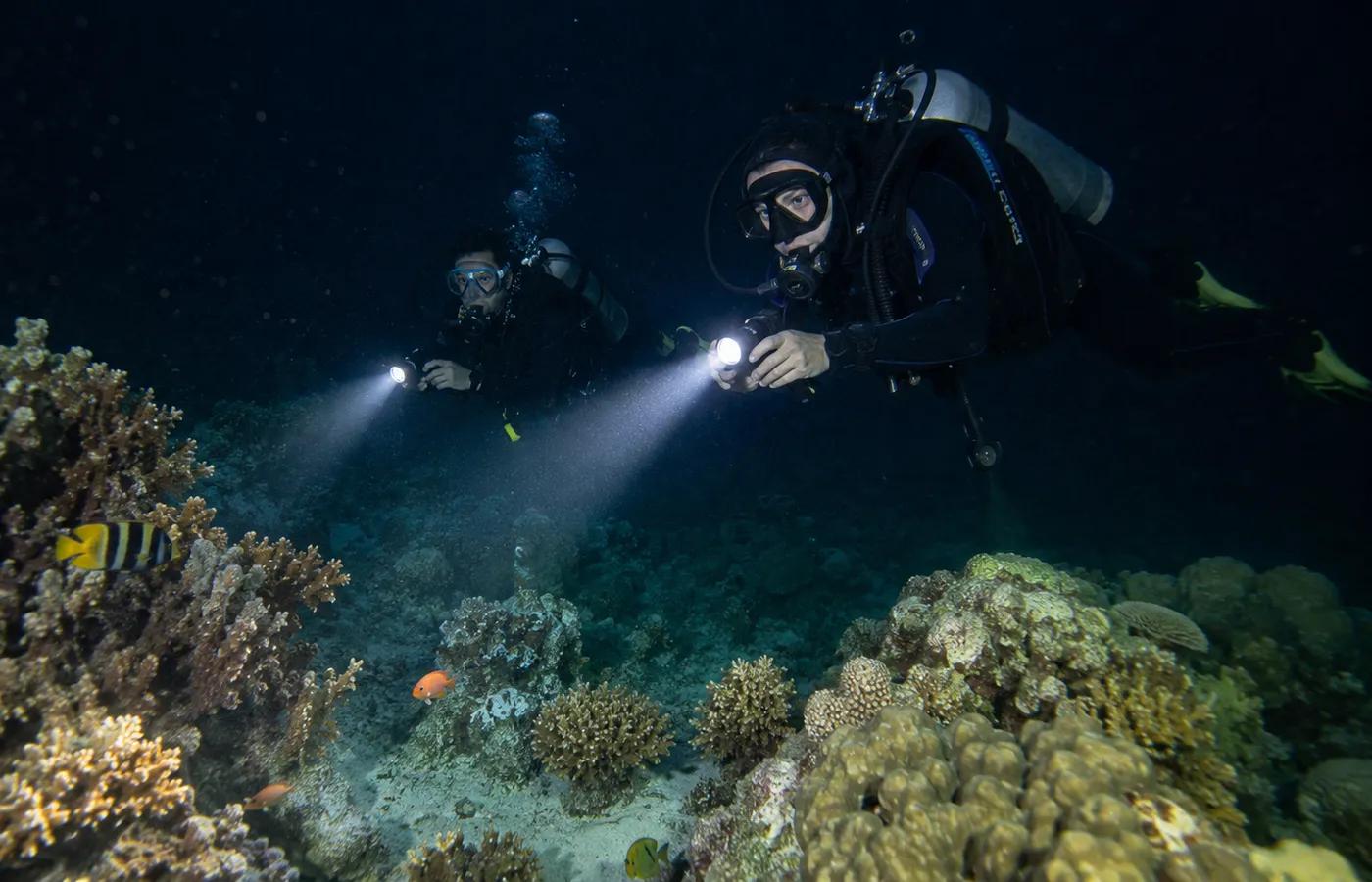 On the reef
