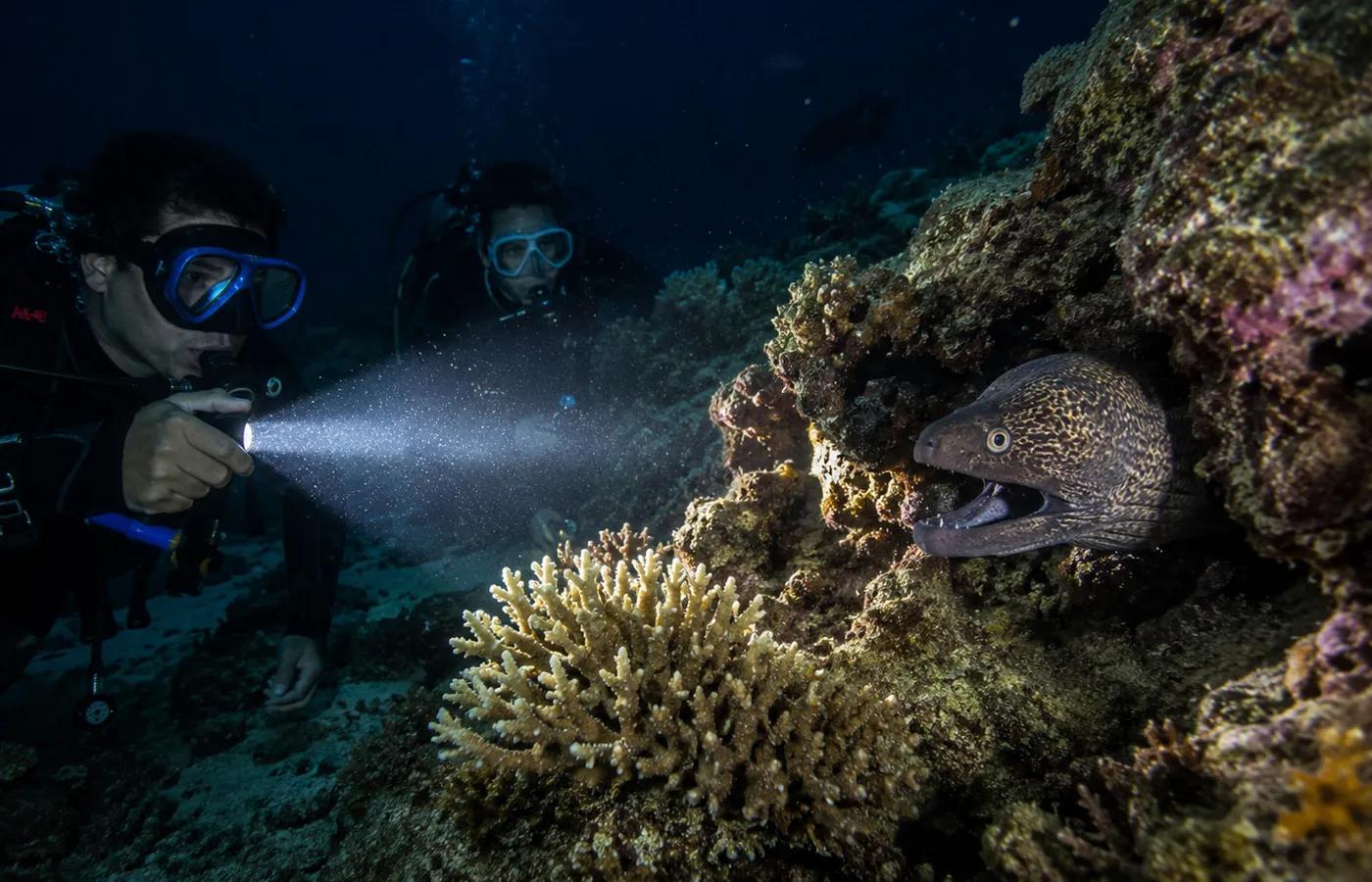 On the reef