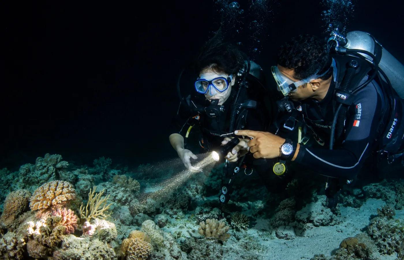 On the reef