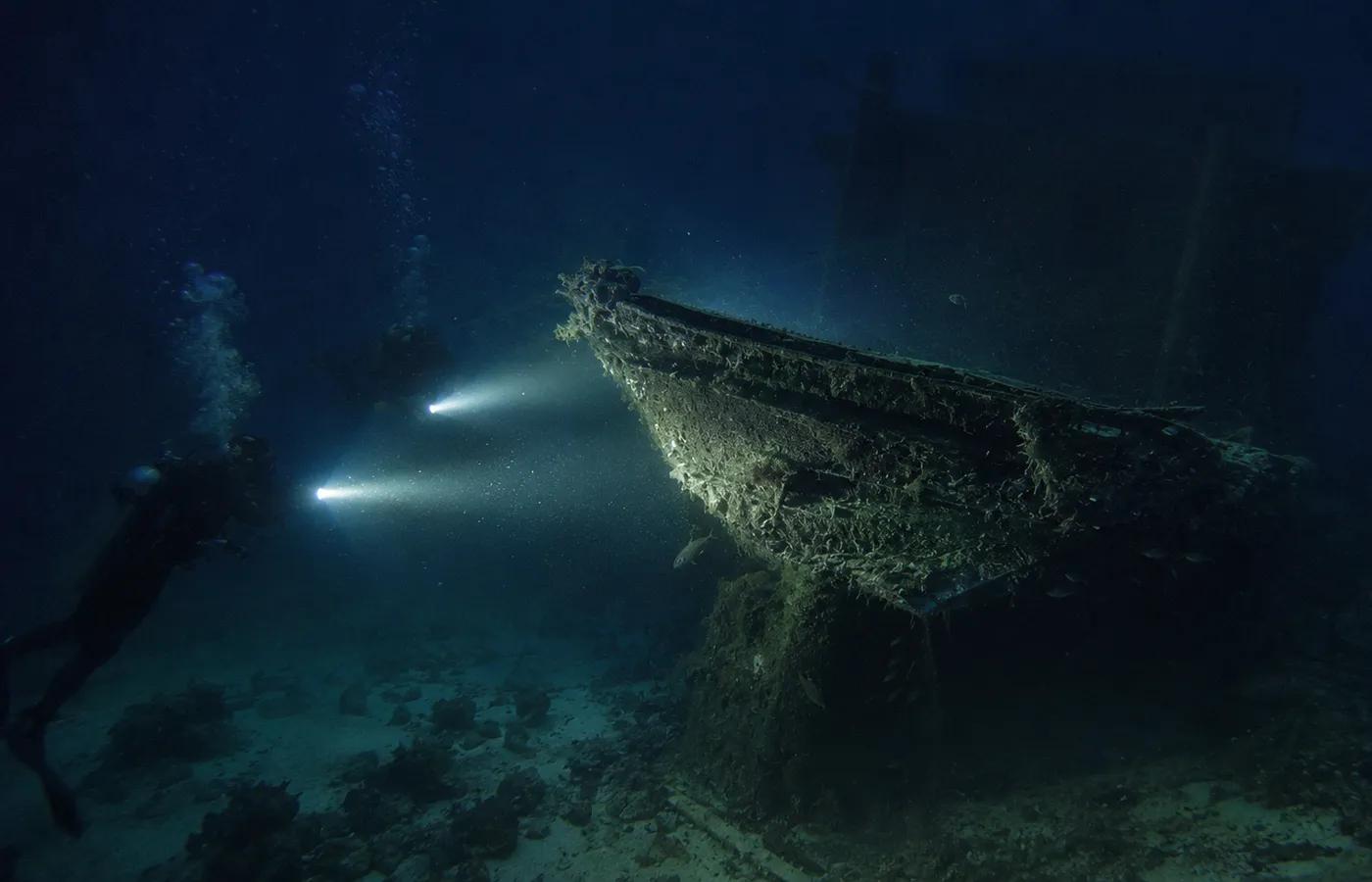 Night diving photos in Hurghada