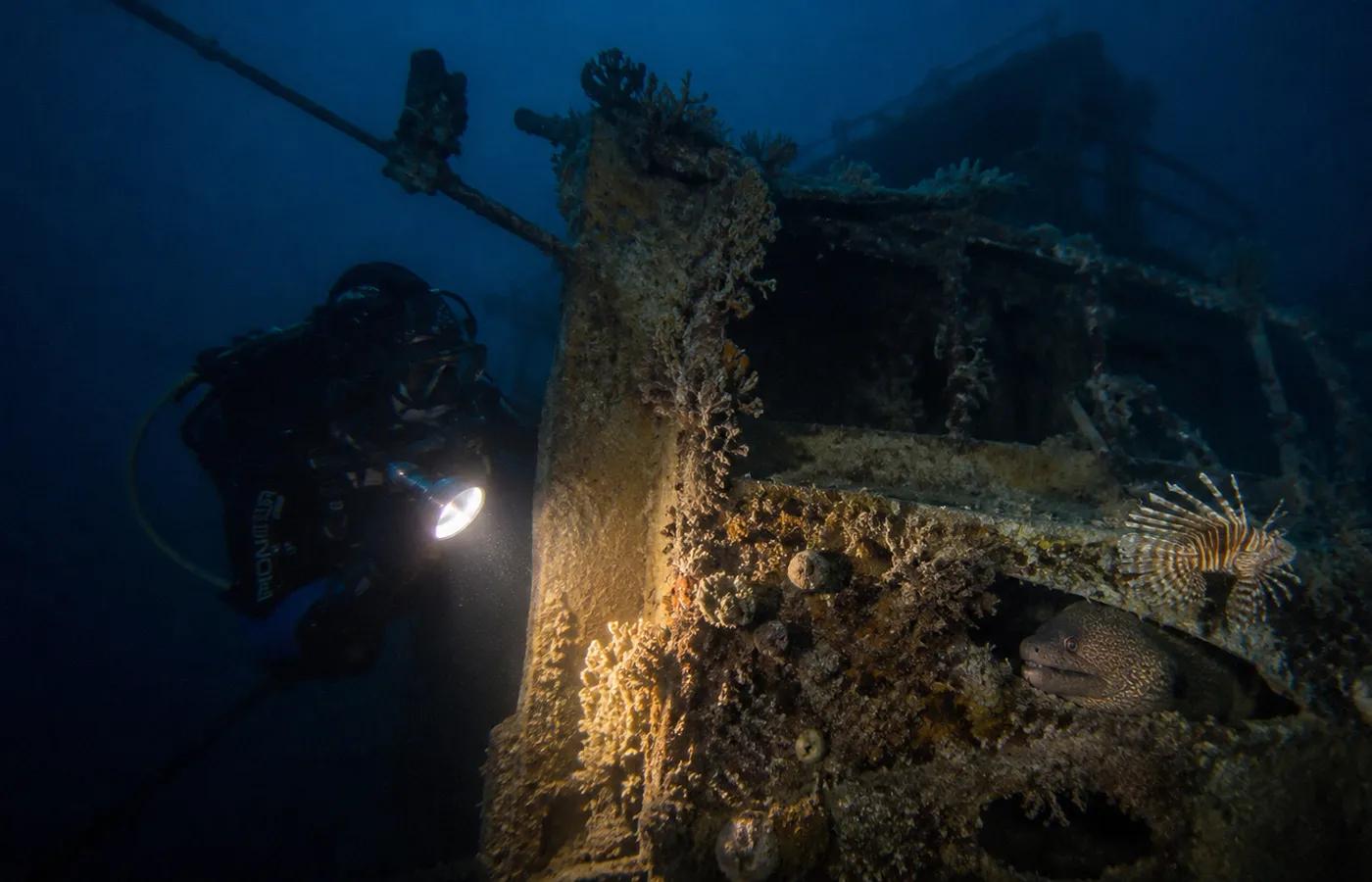 Suzanna wreck night dive