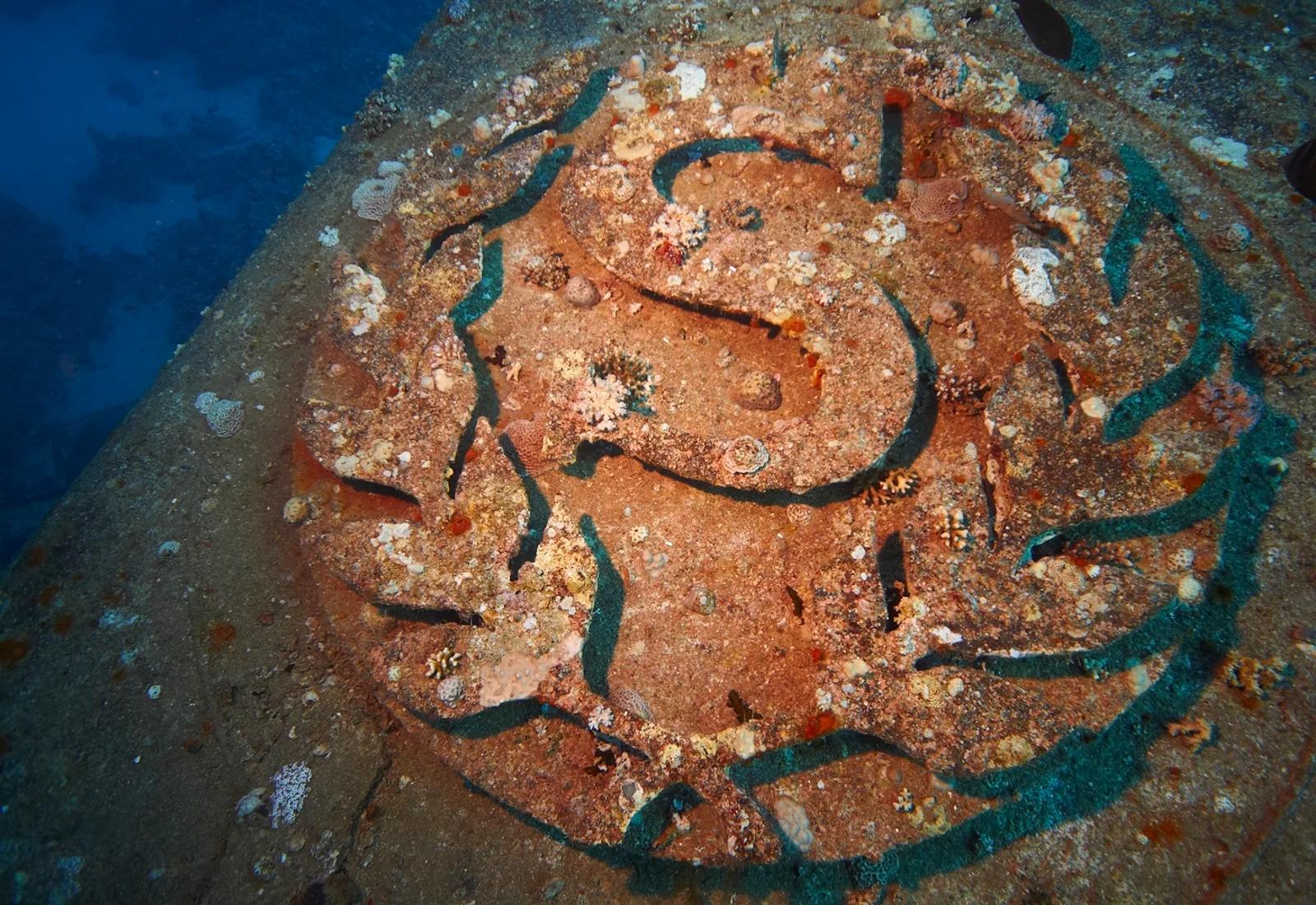 The coral-covered “S” funnel emblem of the Salem Express wreck near Safaga