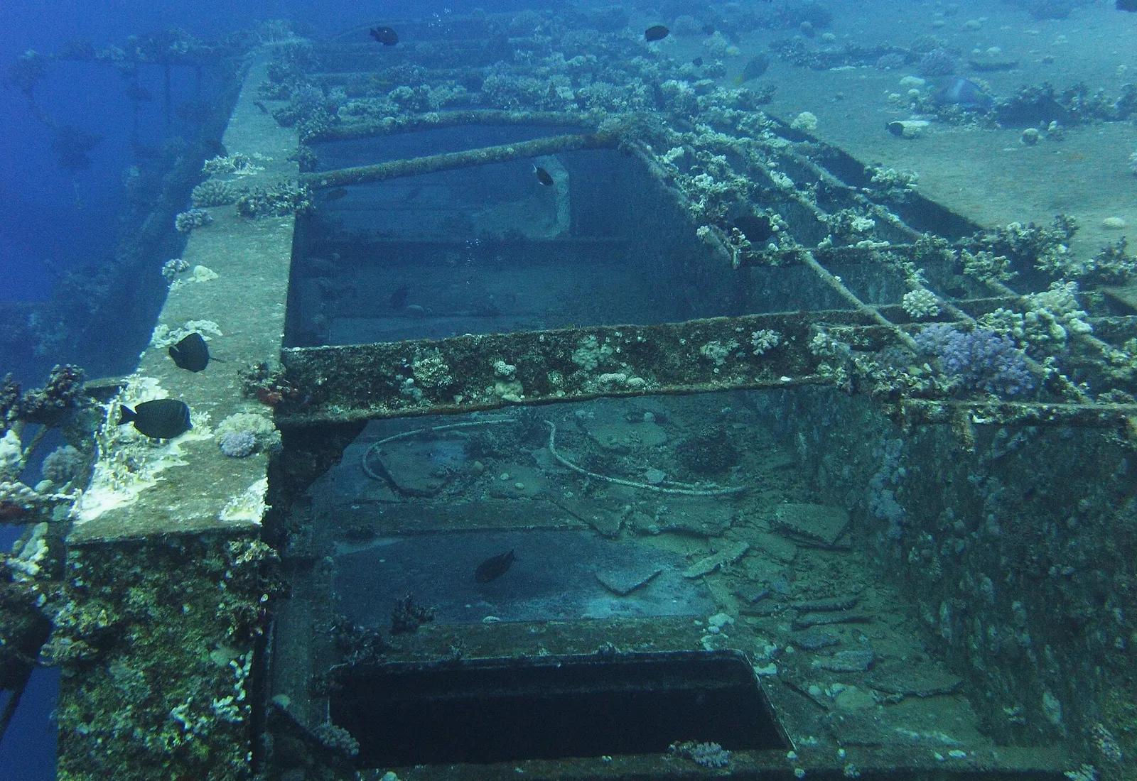 Salem Express underwater photograph 5
