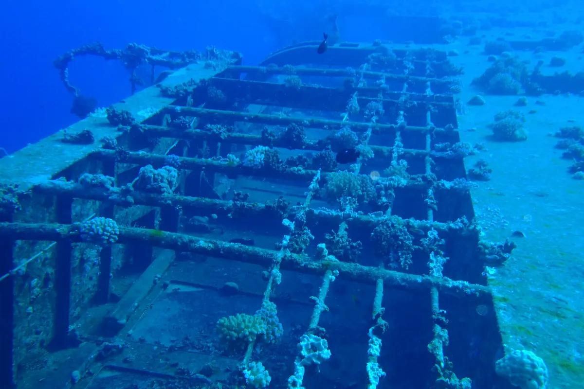 Salem Express underwater photograph 1
